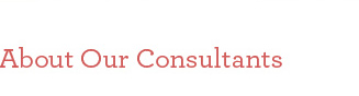 Software Consulting