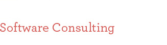 Software Consulting